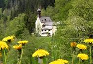 Bild zu Wallfahrtskirche Maria Birkenstein