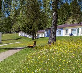 Bild zu Ferienclub Maierhöfen