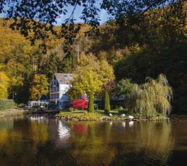 Bild zu Hotel am Schwanenweiher