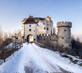 Bild zu Burg Plankenstein