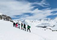 Bild zu Schneeschuhtouren durch Montafon