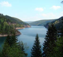 Bild zu Waldhotel Berghof