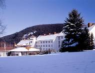 Waldhotel Berghof