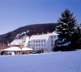 Bild zu Waldhotel Berghof