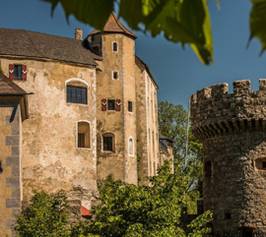 Bild zu Burg Plankenstein